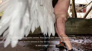 THE GUARDIAN ANGEL.-4