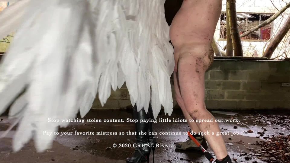 THE GUARDIAN ANGEL.