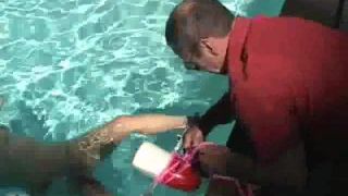 House of Gord20 02 14 Lola - Rigid Buoy Part II-8