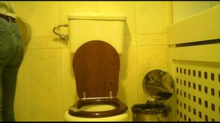 Online Tube Hidden-Zone Toilet - voyeur-3