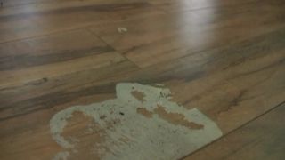 free porn clip 41 sister femdom femdom porn | Goddess Pathi Humiliation | femdom-9