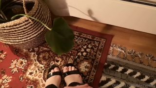 donkeypawg dp00118-5