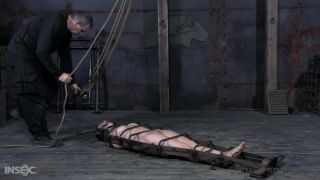 BDSM, Bondage, Blowjob, Dildo, Zapper, Anal Play, Ball Gag,...-1