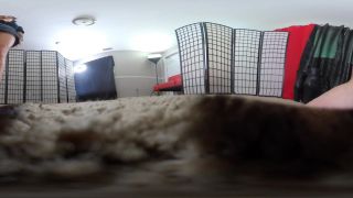 online adult video 8 ellie idol femdom Bratty Foot Girls – The Witches Evil Shrink trick – VR 360 4K, masturbation instructions on fetish porn-8