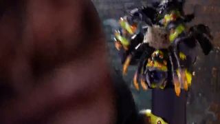 [SuperMisses.com] SPSB-55 Development Project of Heroine Hunter Worst Brainwash\-002-9
