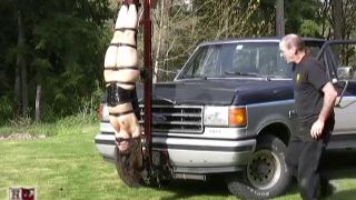 House of Gord17 04 07 Wildflower - Inverted Hood Ornament (Installation)-9