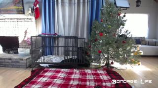 free online video 9 BondageLife – Christmas Lunch and Chat Rachel Greyhound | bondage life | fetish porn midget femdom-3