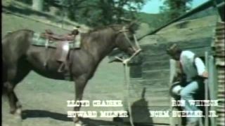 7444 Lipps And McCain-1