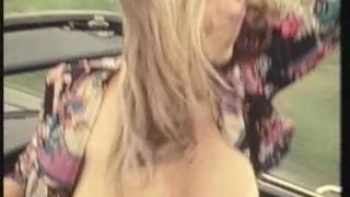 7135 hochwürden 1-1