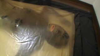 HPSart  Miraido Future Road047.-1