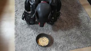 ClaudiaHon H265 2023-12-28 - What a good puppy does Obey and be a good boy for his owner  And of course, he will b-1