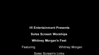 Soles Scream Experience - Whitney Morgans Feet Worshipped -  (SD 2024) New Porn-9