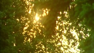 Falling Into Lust: Der Lust Verfallen Pleasures Unveiled-2