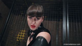 Your new life as my slave -  domination-0