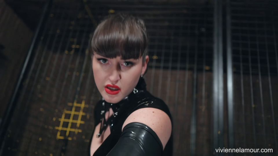 Your new life as my slave -  domination