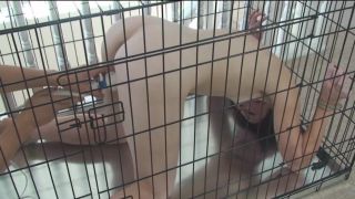 adult xxx clip 7 Caged slut on bdsm porn august ames bdsm-2