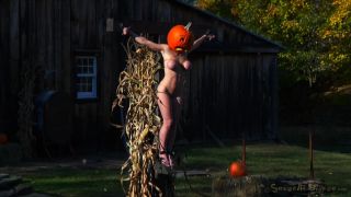 Hardbodied Busty Milf Darling Crucified And Anally Fucked...-8
