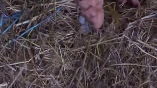 free porn clip 28 Une sale punition [SD 645.7 MB], femdom male on fetish porn -9