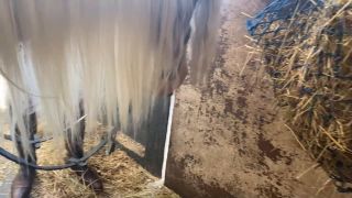 Vivienne lamour - be my stable boy - equestrian joi pov - manyvi -  domination-1