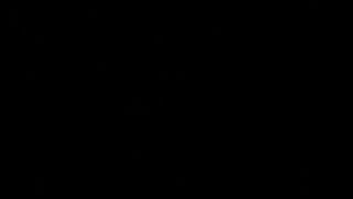 video0030-4