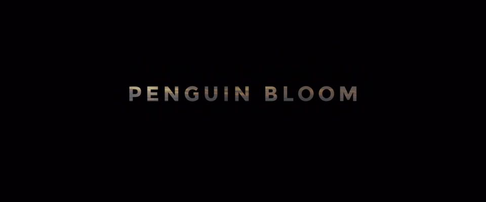 Naomi Watts - Penguin Bloom (2020) HD 1080p - (Celebrity porn)