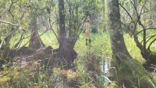 online adult clip 11 Woodland Nymph – Padme Lost in the Swamp on femdom porn kinky fetish porn-6