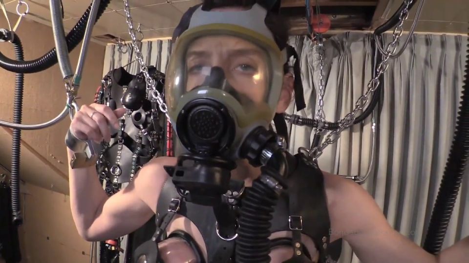 Creature Comforts Quick View Porn - New Sex Videos Online