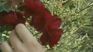 free xxx video 30 party hardcore girls Daniela Profondamente Troia | Les Desirs de Daniela (2001), hardcore on hardcore porn-9