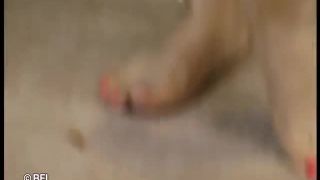 xxx clip 19 The german belly dancer and fisted mature woman gets cum from bald man., gay underwear fetish on cumshot -1