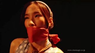 japanese bondage bdsm -9