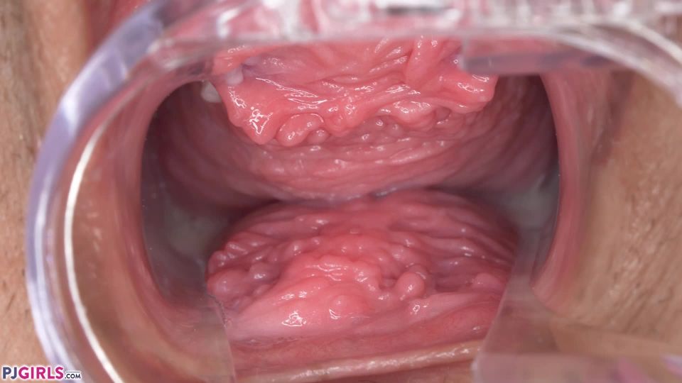 Pjgirls presents 2019-10-11 – Twinkie – Inside Twinkie - [Fisting porn videos]