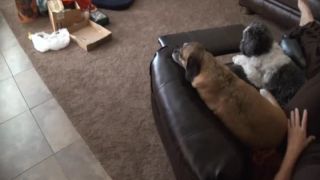 adult video 48 socks femdom WifeCrazy 2012 moms x-mas tree hi, fetish on fetish porn-2