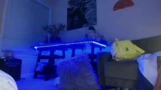 xxx video clip 47  Shemale Webcams Video for February 05, 2020 – 05, webcam on shemale porn-5