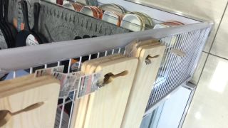 Downbluse 35 - 914 - voyeur - voyeur -2