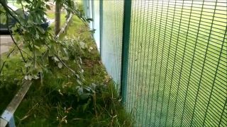 HomeAmaeurVideos006806-5