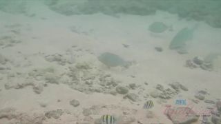 You take Hime around the island, and fuck her in the car - (Hardcore porn)-1