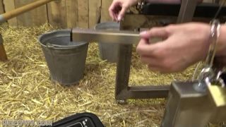 free adult clip 25 More udder expansion | bdsm porn | bdsm porn korean gay bdsm-7