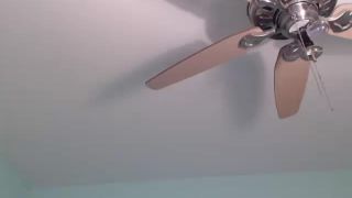 Online Tube Shemale Webcams Video for December 06, 2018 - shemales-7