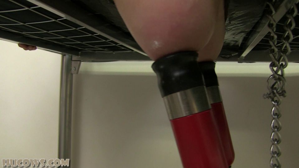 online video 20 Vina milking bed & cow milker [Full HD 813.3 MB], nimin fetish fantasy on fetish porn 