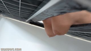 Hu Cows 26 01 03 Darina Udder Stretching – Full HD - Udder-2