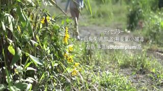 [WarAnLov.com] GIGP-30 Wakuseiber -SEASON 2-024-4