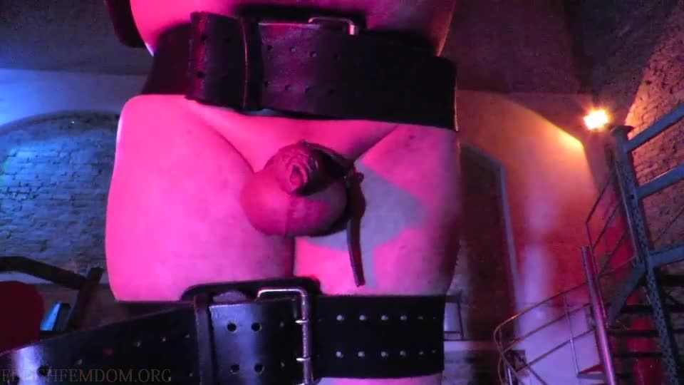 free video 10 femdom couple Danish Femdom – Electric Crucifixion, ballkicking on fetish porn