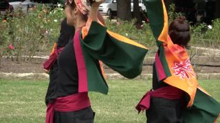 Voyeur Performance 21 - 15324446 on voyeur -7