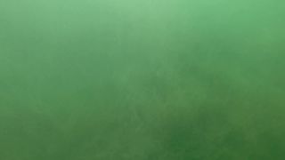 Mya Lane - Amateur Underwater Sex At Sea (Teen)-6