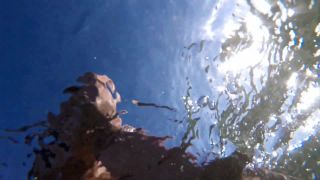Mya Lane - Amateur Underwater Sex At Sea (Teen)-7