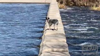 Fucking And Sucking In The Las Vegas Wetlands 1080p-0