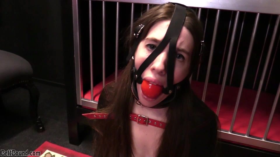 porn clip 15 BeltBound – Ivy Red – cage training!, bdsm compilation on bdsm porn 