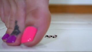 ﻿NEMESIS - Greasy rose foraging times destruction (Fetish porn)-5