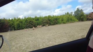 Louiselittlefrench 55275376 video 2023-08-30 21-06-2