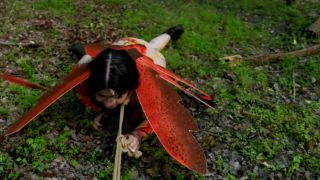 adult clip 47 bowsette femdom Just a Little Anal Bug in the Grass, whipping on anal porn-0